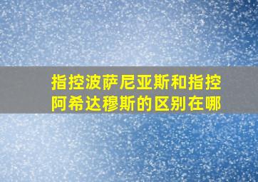 指控波萨尼亚斯和指控阿希达穆斯的区别在哪