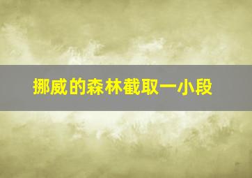 挪威的森林截取一小段