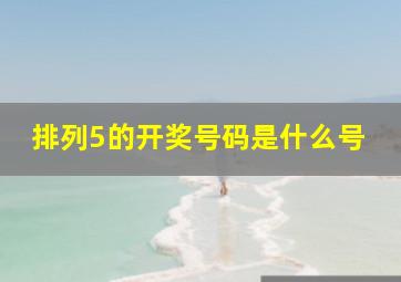 排列5的开奖号码是什么号