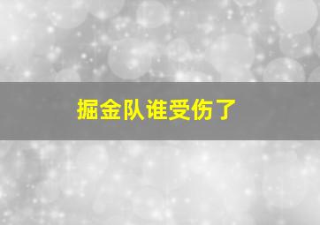 掘金队谁受伤了