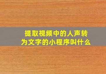 提取视频中的人声转为文字的小程序叫什么