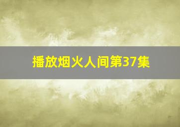 播放烟火人间第37集