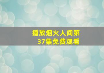 播放烟火人间第37集免费观看