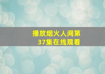 播放烟火人间第37集在线观看