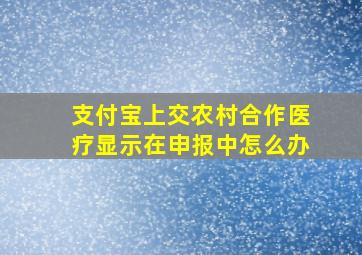 支付宝上交农村合作医疗显示在申报中怎么办