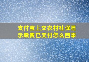 支付宝上交农村社保显示缴费已支付怎么回事