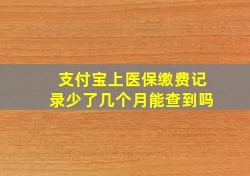 支付宝上医保缴费记录少了几个月能查到吗