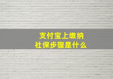 支付宝上缴纳社保步骤是什么