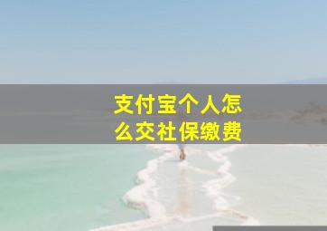 支付宝个人怎么交社保缴费