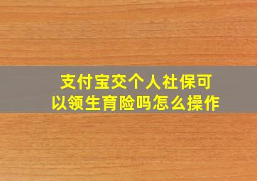 支付宝交个人社保可以领生育险吗怎么操作