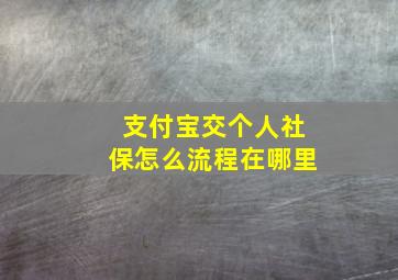 支付宝交个人社保怎么流程在哪里