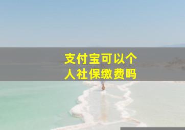 支付宝可以个人社保缴费吗