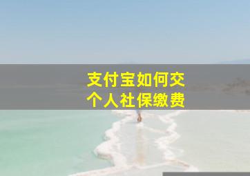 支付宝如何交个人社保缴费