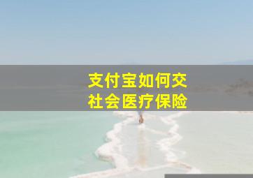 支付宝如何交社会医疗保险