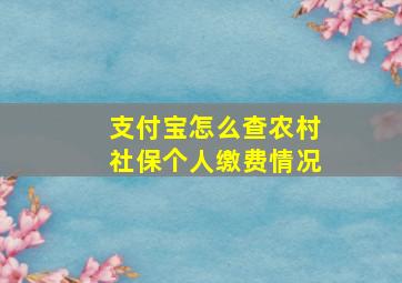 支付宝怎么查农村社保个人缴费情况