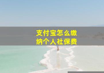 支付宝怎么缴纳个人社保费