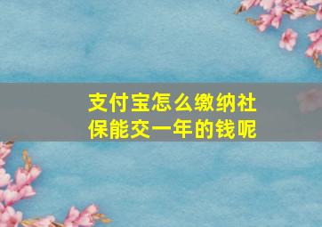 支付宝怎么缴纳社保能交一年的钱呢