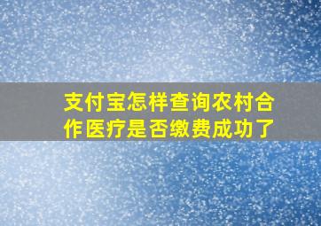 支付宝怎样查询农村合作医疗是否缴费成功了