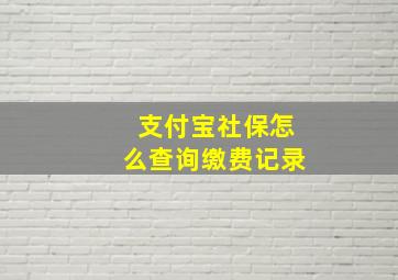 支付宝社保怎么查询缴费记录