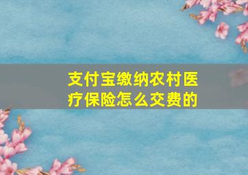 支付宝缴纳农村医疗保险怎么交费的