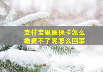 支付宝里医保卡怎么缴费不了呢怎么回事