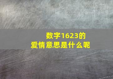 数字1623的爱情意思是什么呢