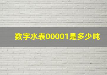 数字水表00001是多少吨