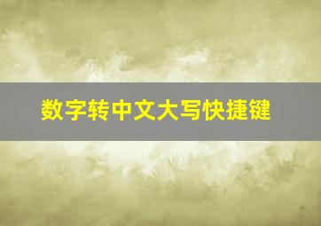 数字转中文大写快捷键