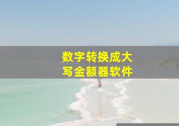 数字转换成大写金额器软件