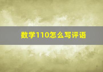 数学110怎么写评语