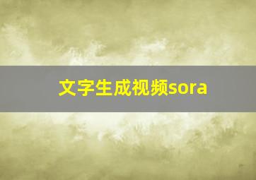 文字生成视频sora