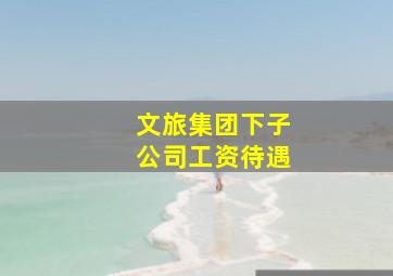 文旅集团下子公司工资待遇