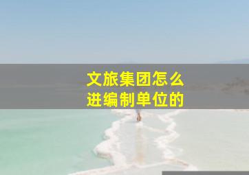 文旅集团怎么进编制单位的