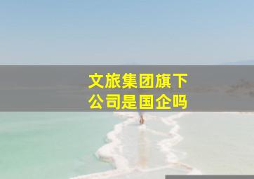 文旅集团旗下公司是国企吗