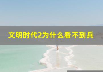 文明时代2为什么看不到兵