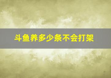 斗鱼养多少条不会打架