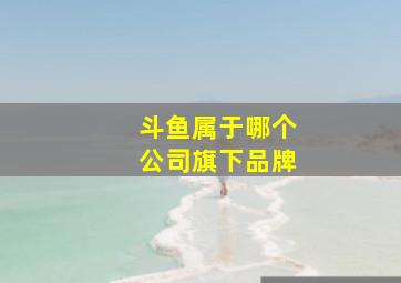 斗鱼属于哪个公司旗下品牌