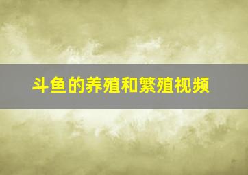 斗鱼的养殖和繁殖视频