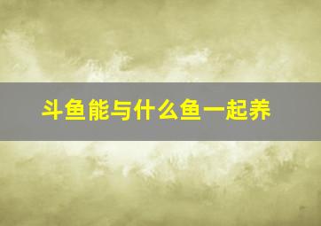 斗鱼能与什么鱼一起养