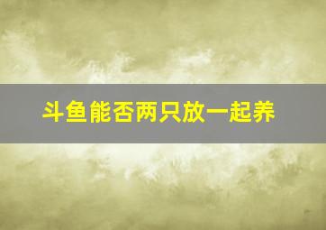 斗鱼能否两只放一起养