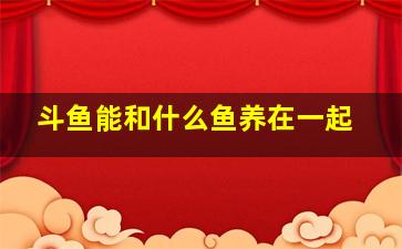 斗鱼能和什么鱼养在一起