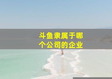 斗鱼隶属于哪个公司的企业