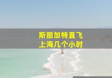 斯图加特直飞上海几个小时