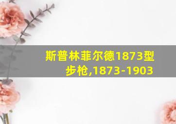 斯普林菲尔德1873型步枪,1873-1903