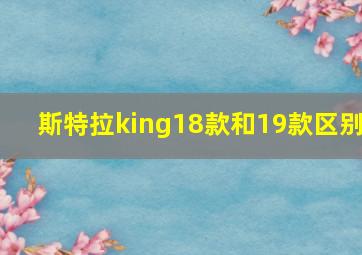 斯特拉king18款和19款区别