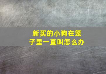 新买的小狗在笼子里一直叫怎么办