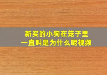 新买的小狗在笼子里一直叫是为什么呢视频