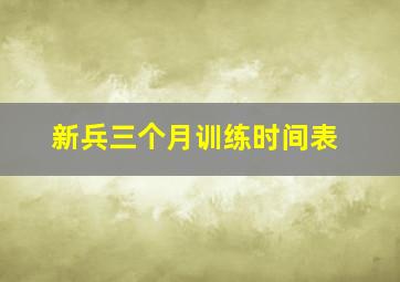 新兵三个月训练时间表