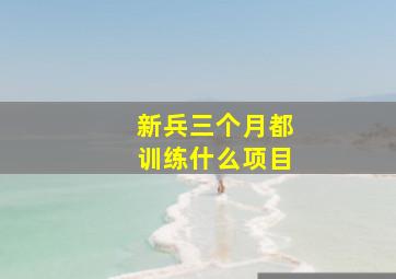 新兵三个月都训练什么项目