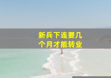 新兵下连要几个月才能转业